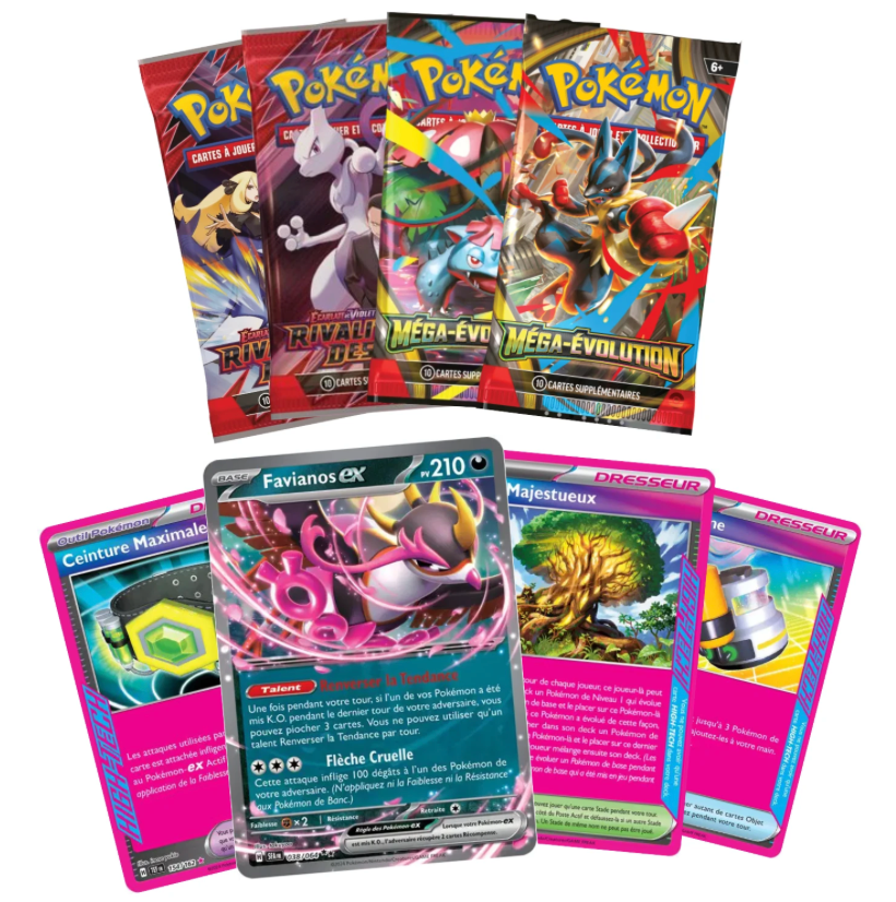 FR - Coffret Nécessaire du Dresseur 2025 - Poké king shop Sarl