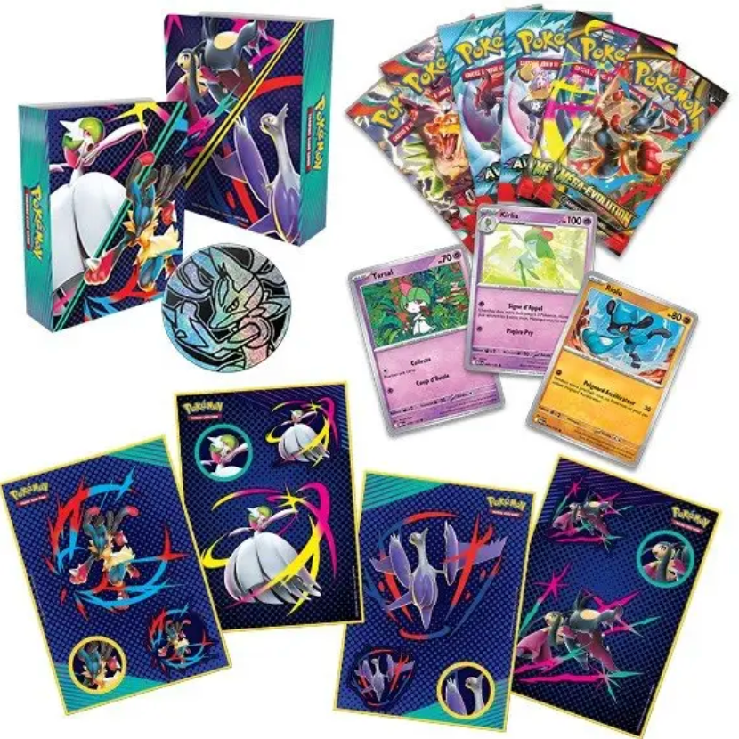 FR - Valisette Épine - de - fer/Garde - de - fer - Poké king shop Sarl