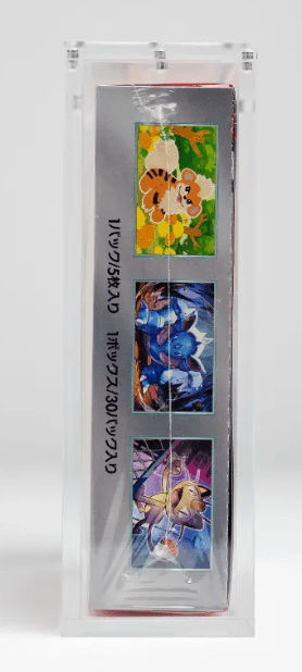 Protection Acrylique pour petite Display JPN - Poké king shop Sarl